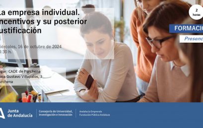 La empresa individual: incentivos y su posterior justificación.